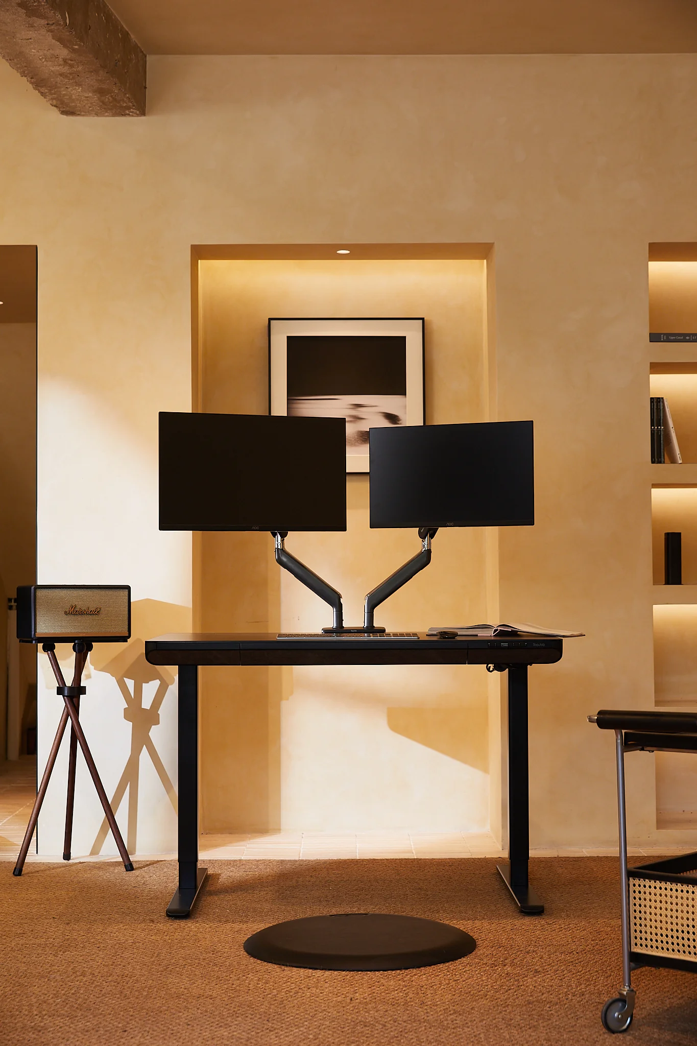 LIFTA Monitor Arms - Image 23